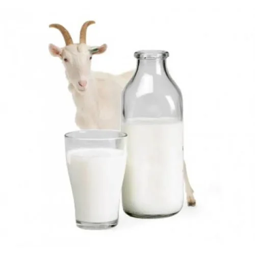 goatmilk
