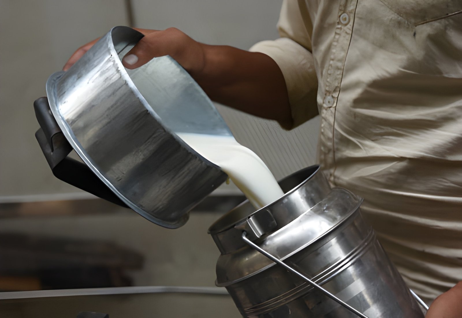 Our Cow Milk is a natural and wholesome drink sourced from healthy cows, valued for its creamy texture and rich flavor. It is loaded with essential nutrients such as calcium, protein, and vitamins A, D, and B12 that support overall health, strength, and growth.